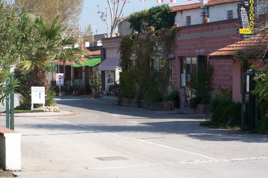 Transilvania Di Munteanu Gabriel